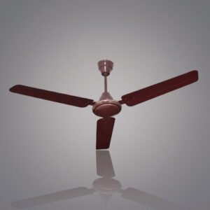 Ceiling Fan
